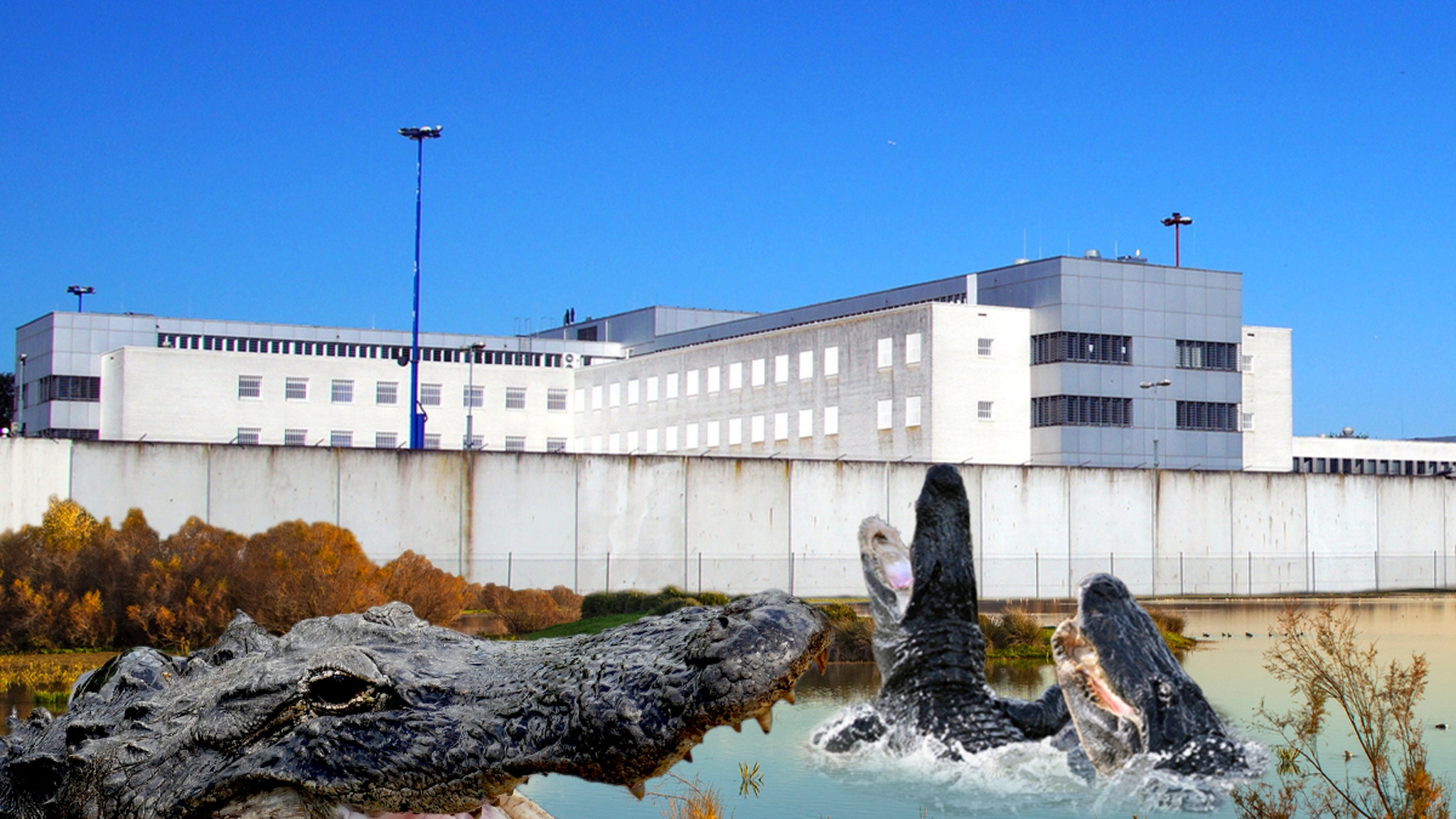 1e181b2becdd4017993db2a566bca300 xl.jpg