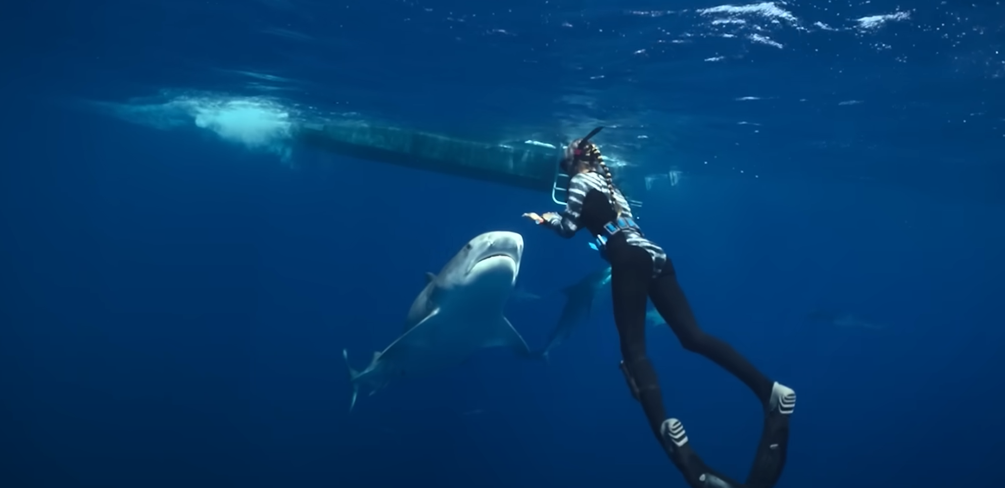 Image 1750998735513.png