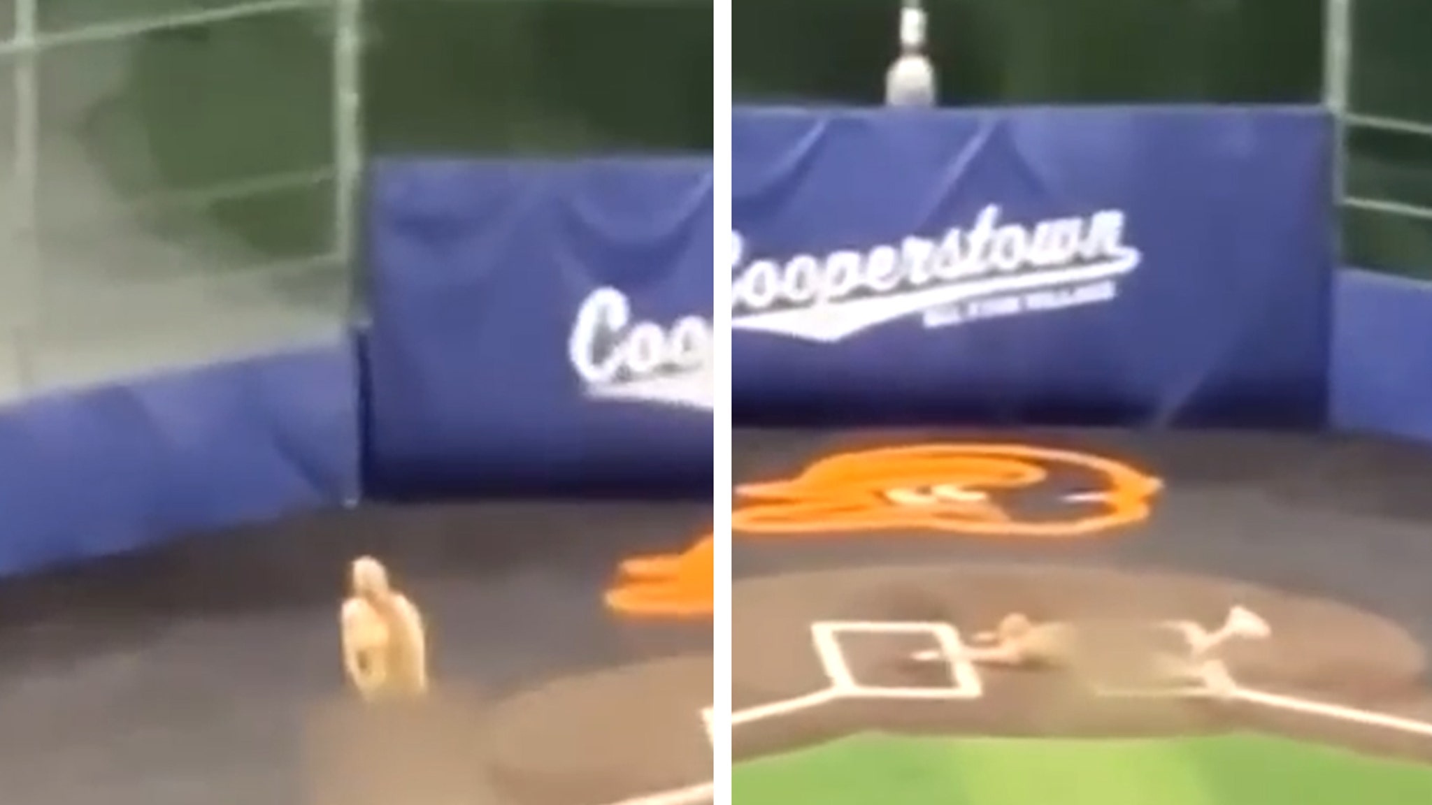 03e45e23ae7c443e8717f9bdc2971467 xl.jpg