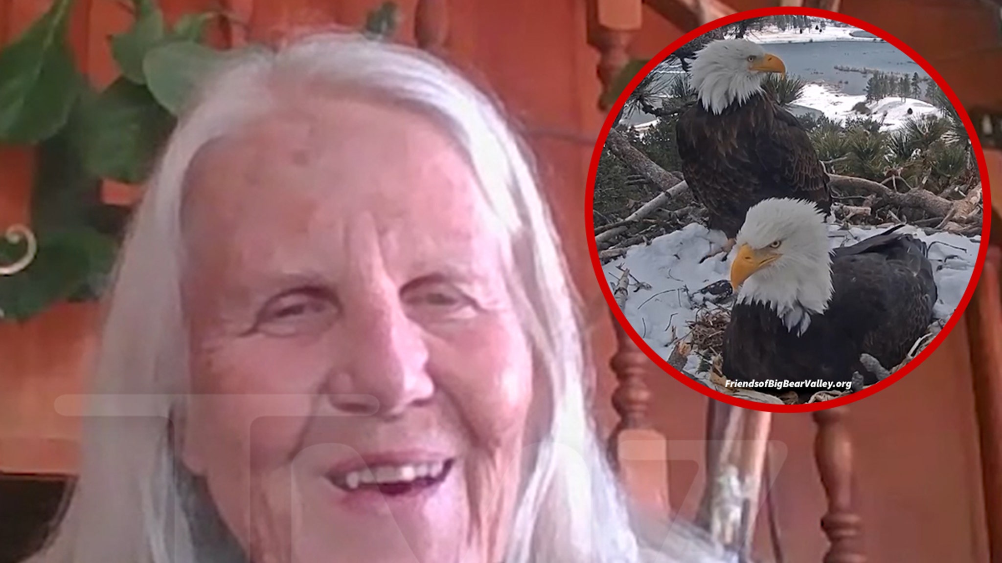 603289087f094bed930f356e38254f53 xl.jpg