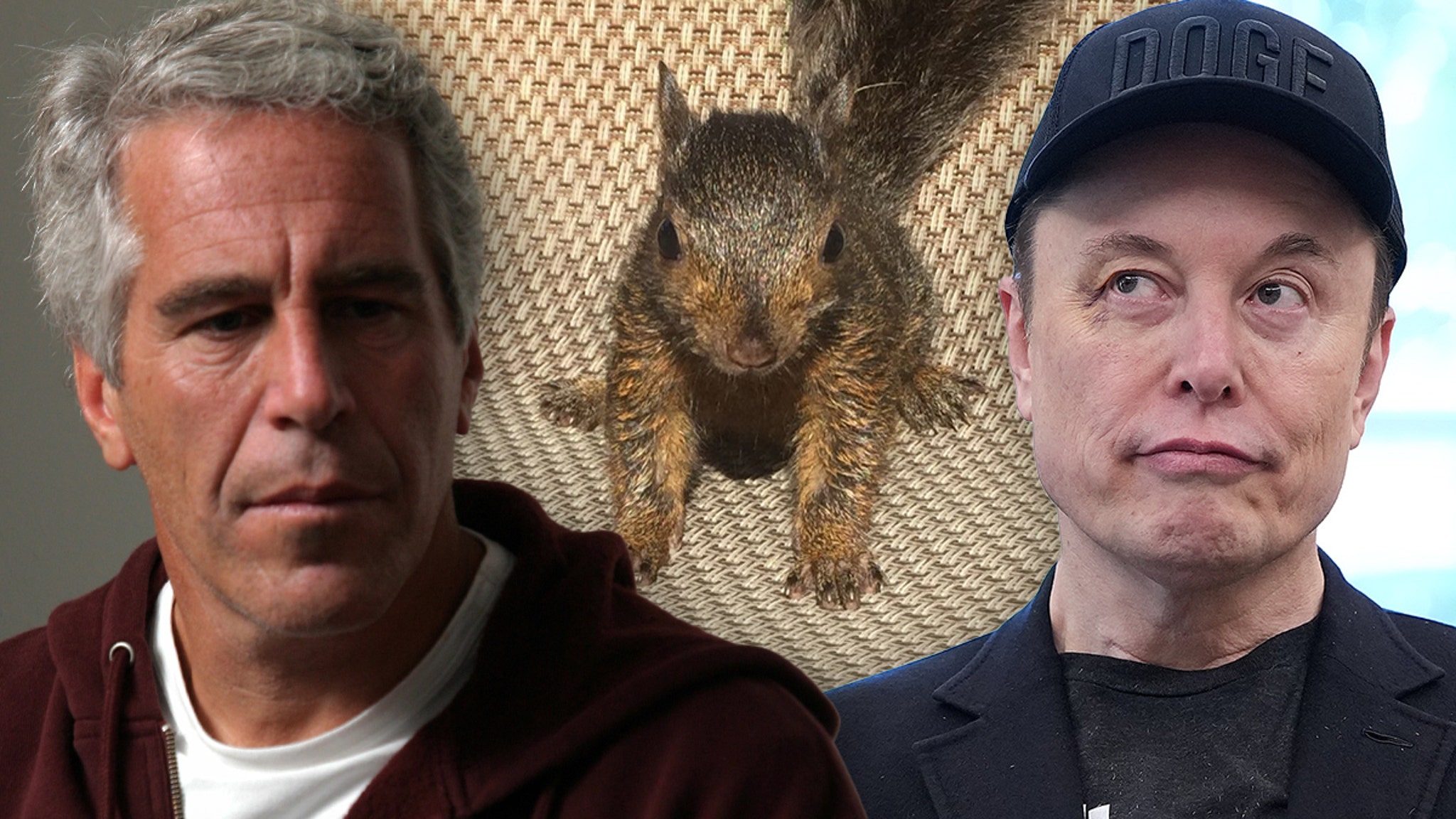 76c983a620374d40977fd09d1f7fcb91 xl.jpg